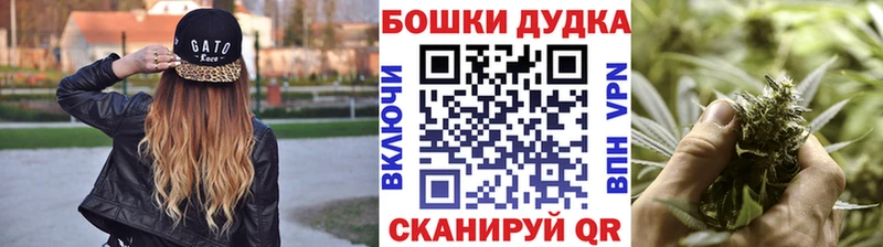 Бошки марихуана сатива  Купить закладки  Бобров 